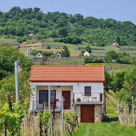 Jera Pince Es Vendeghaz Villa Somlovasarhely Bagian luar foto