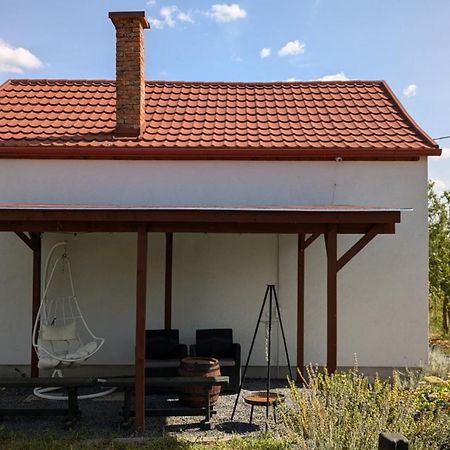 Jera Pince Es Vendeghaz Villa Somlovasarhely Bagian luar foto