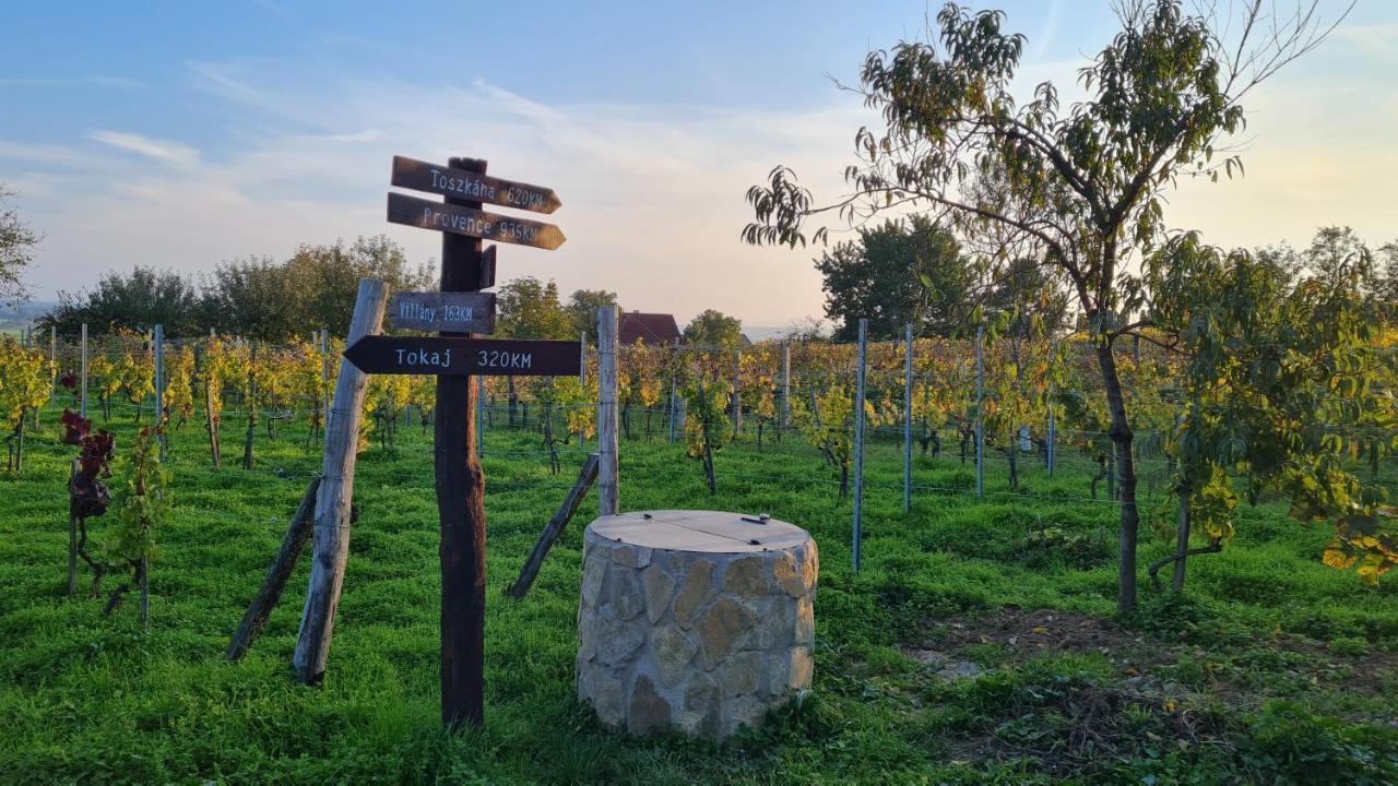 Jera Pince Es Vendeghaz Villa Somlovasarhely Bagian luar foto