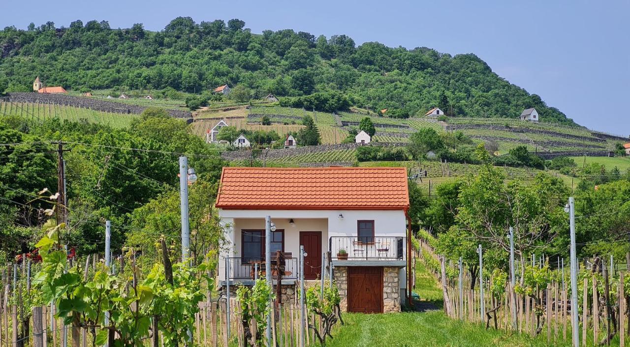 Jera Pince Es Vendeghaz Villa Somlovasarhely Bagian luar foto