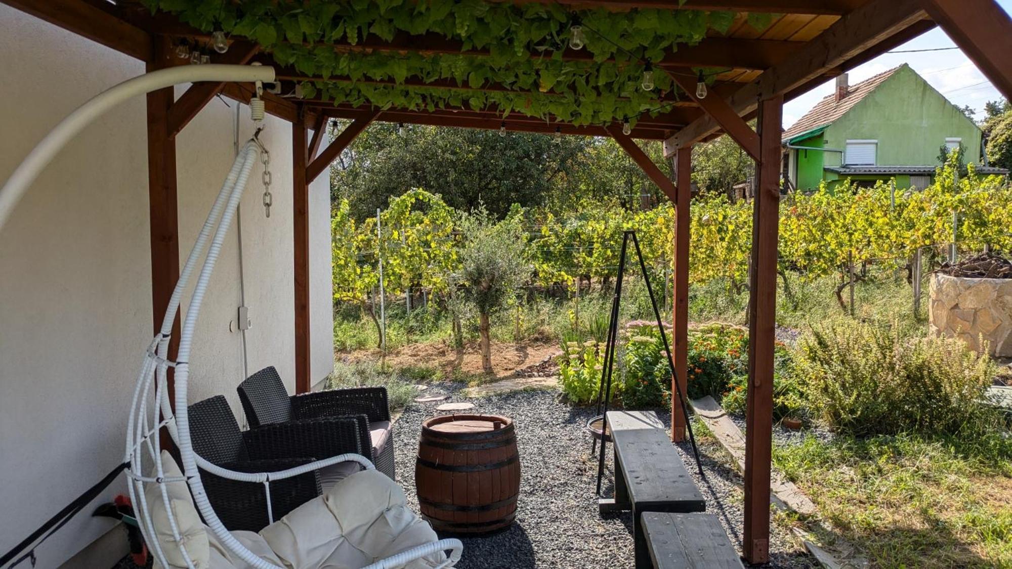 Jera Pince Es Vendeghaz Villa Somlovasarhely Bagian luar foto